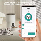New 4L Button/WIFI Automatic Pet Feeder Smart Intelligent Cat And Dog Food Dispenser for Cats And Dogs
